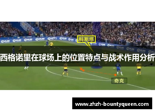 西格诺里在球场上的位置特点与战术作用分析