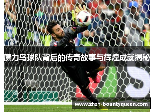 魔力鸟球队背后的传奇故事与辉煌成就揭秘